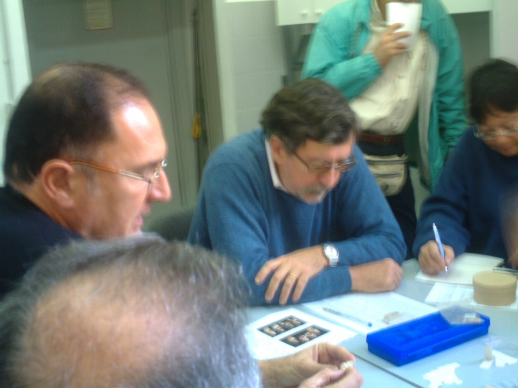 Incontro ravvicinato - Nassariidae